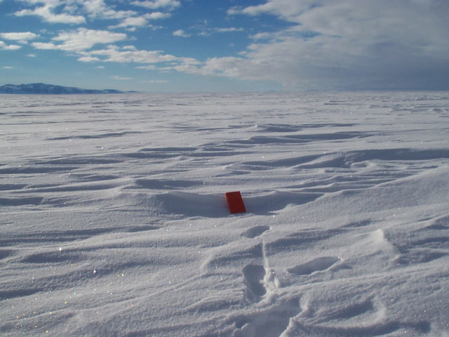 Sastrugi on the Ross Ice Shelf