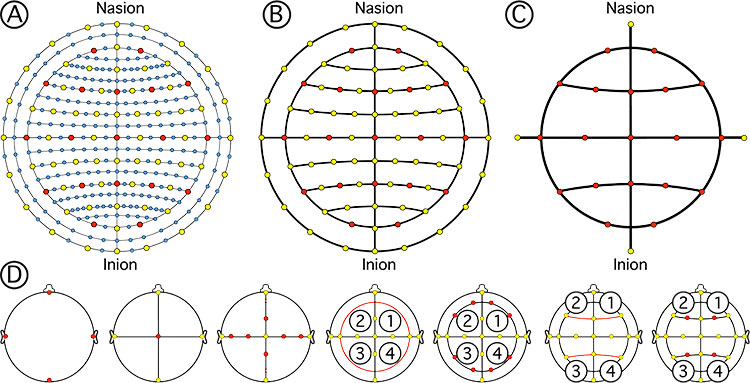 EEG electrode layouts and positioning algorithm