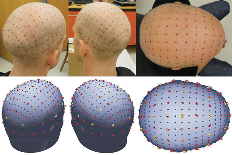 Correspondence of EEG scalp coordinates on the adult head and 3D head model.