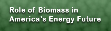 Role of Biomass in Americas Energy Future